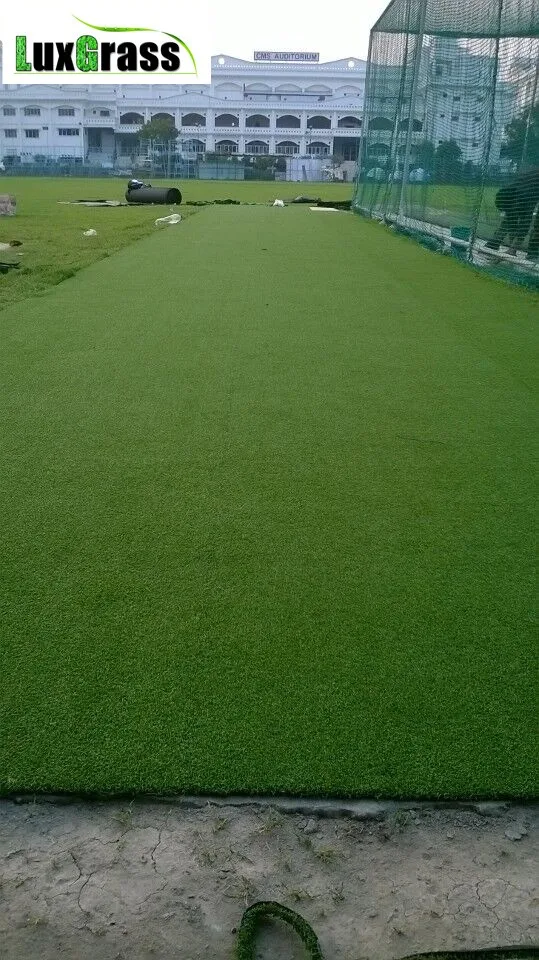 cricket hockey artificial grass (29)
