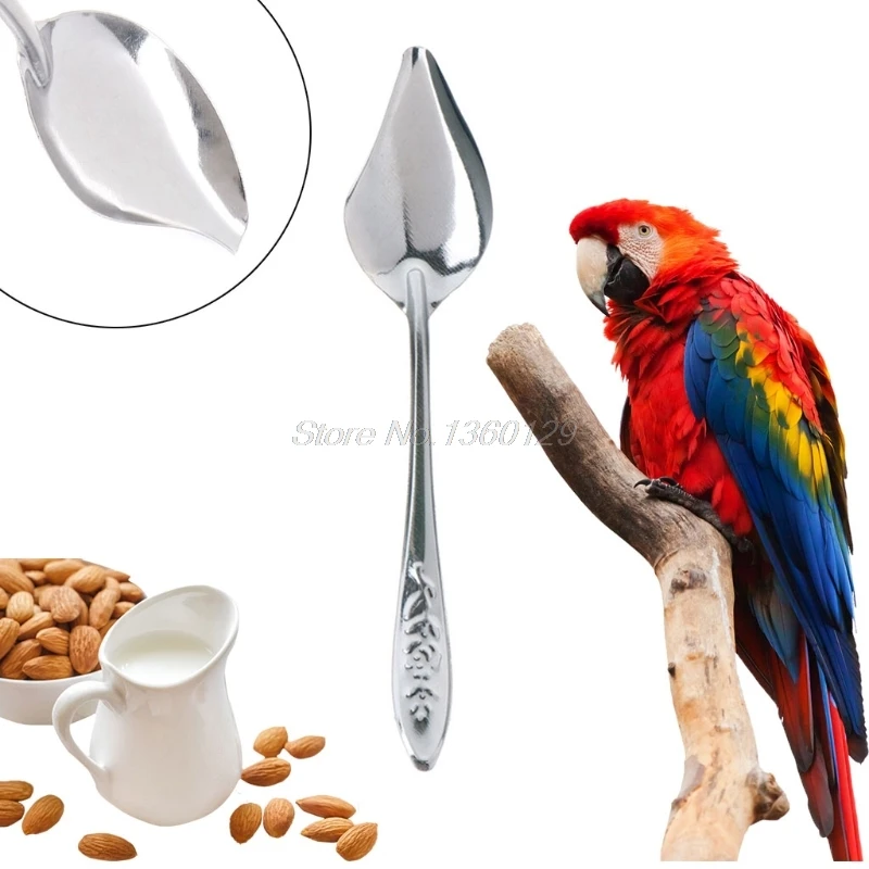 

Bird's Stainless Steel Feeding Spoon Parrot's Milk Powder Spoon Dropship