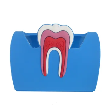

New Dental clinic dentist card holder Tooth tpye card Holder case card storage