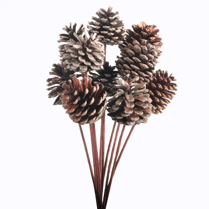 1_