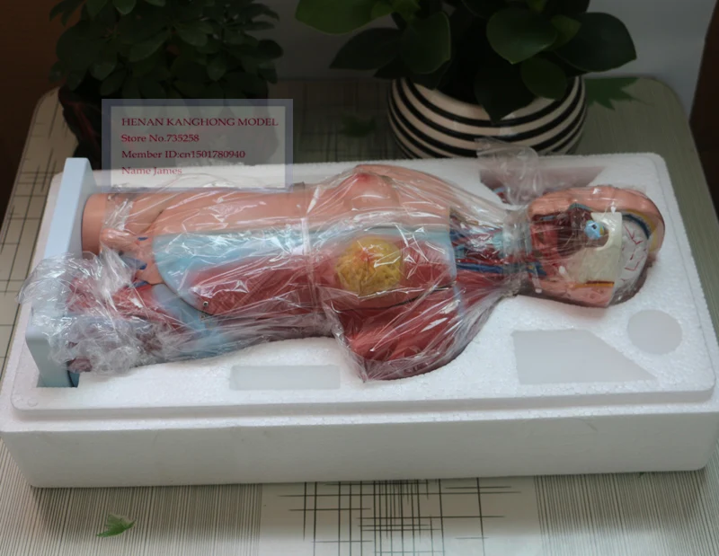 45cm232