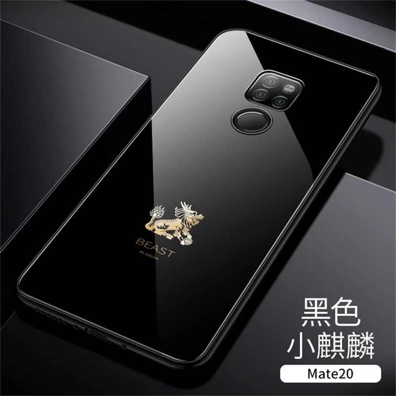 Tempered Glass Phone Case For Huawei Mate 20 (14)