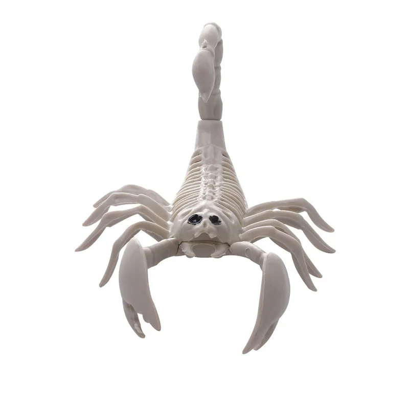 

Plastic Animal Skull Statue&Sculpture Ornament Spider Skull Home Decoration Accessories Scorpion Skull Bar Decoration