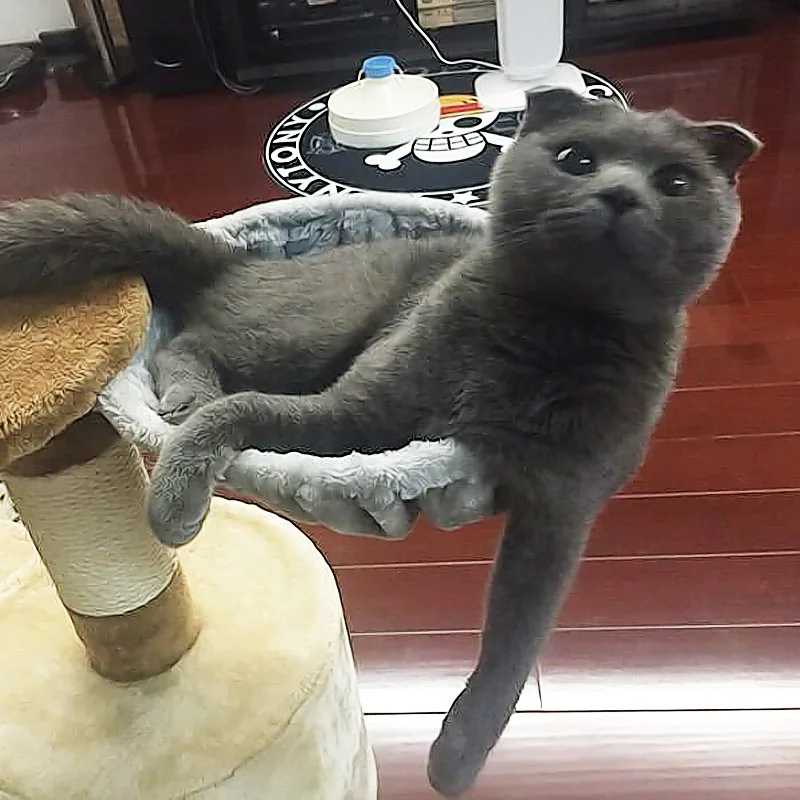 9408383343_2096839421