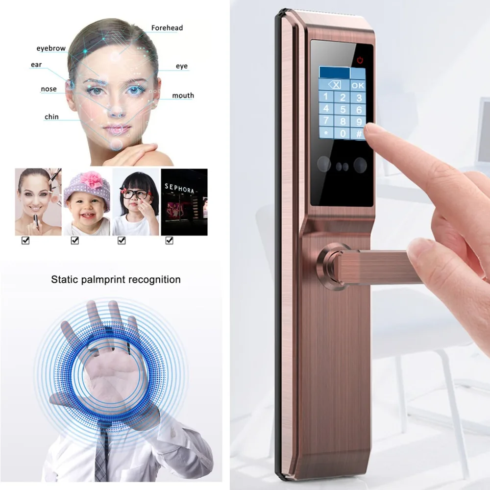

R40 Biometric Palmprint Smart Door Lock Facial Indentification Face Recognition Password Key Swipe Unlock Anti-theft