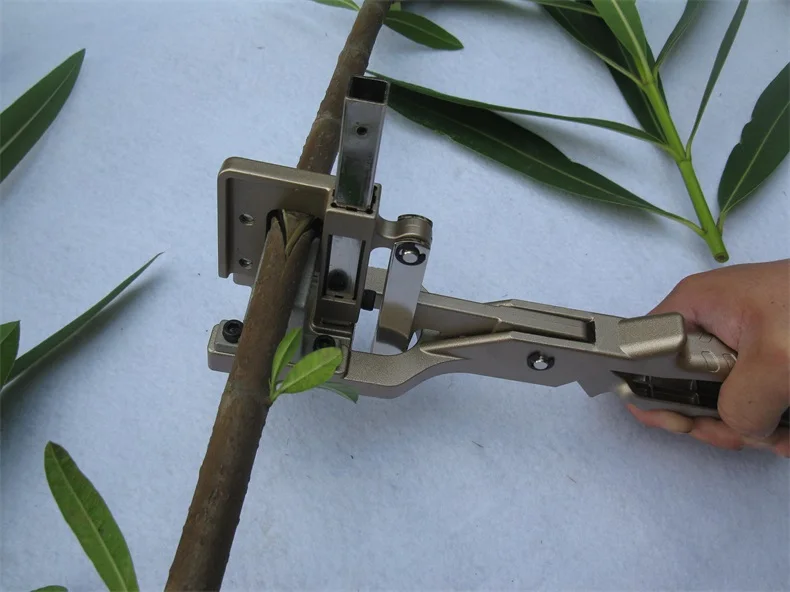 Buy vegetable Grafter tree grafting tool fruit
