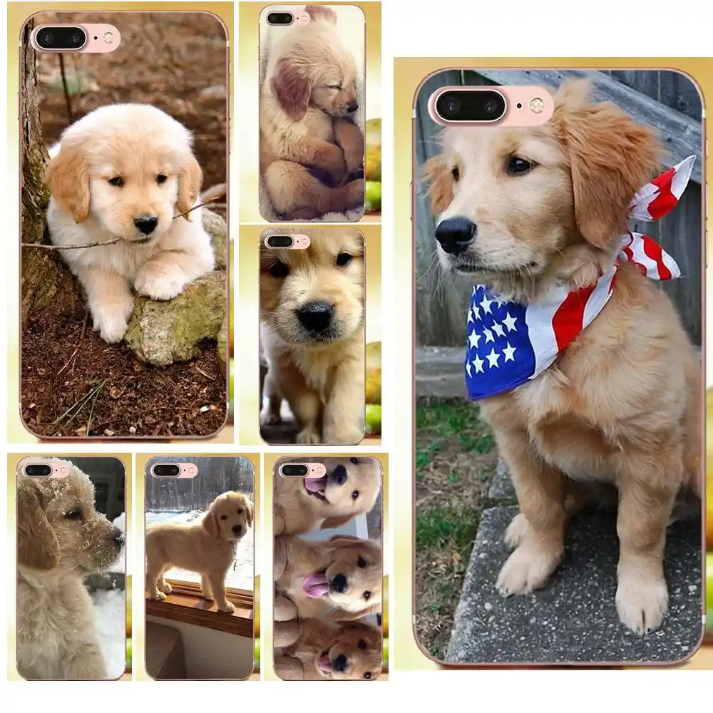 Golden Retriever Puppy For Apple Iphone X Xs Max Xr 4 4s 5 5c 5s