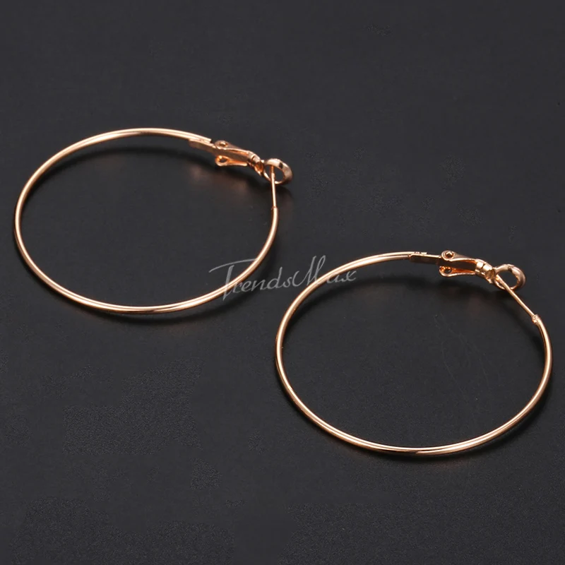 

Womens Hoop Earrings Thin Tube 585 Rose Gold Statement Earrings For Woman Jewelry 2018 Fashion Gift Wholesale 1mm HGEM30