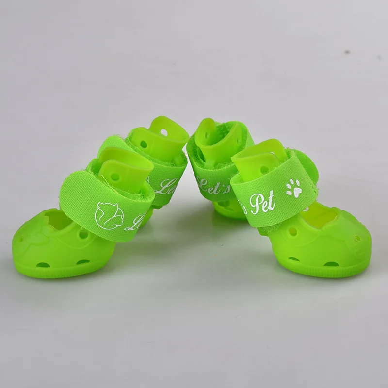 dog shoe