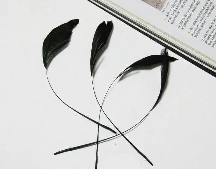 

[IuBuFiGo] 6" Black Masquerade Chicken Feather Cocktail Hat Feather 200pcs/lot