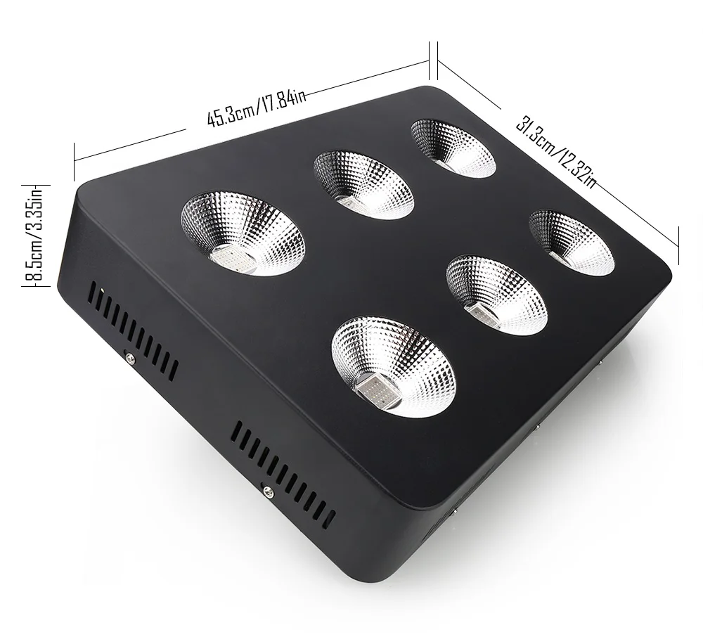 300w chicun