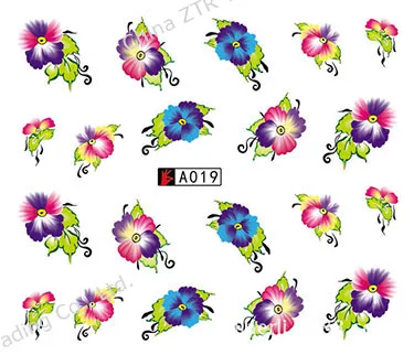 2991252450_2031802831