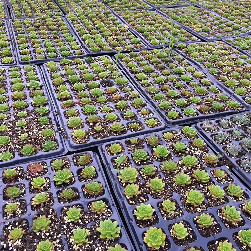 32 ячеек рассады стартер лоток семян Прорастание цветочные горшки Детские расти поле распространения для сада дополнительная прочность