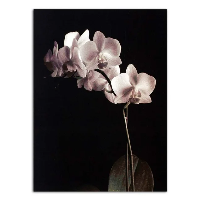 Home-Decoration-Wall-Art-Poster-Nordic-Print-Canvas-Paintings-Picture-Black-background-white-and-gold-flowers.jpg_640x640 (2)