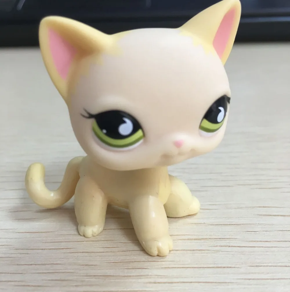 Cream Lps Cat Gren Eyes Cream Lps Cat Gren Eyes