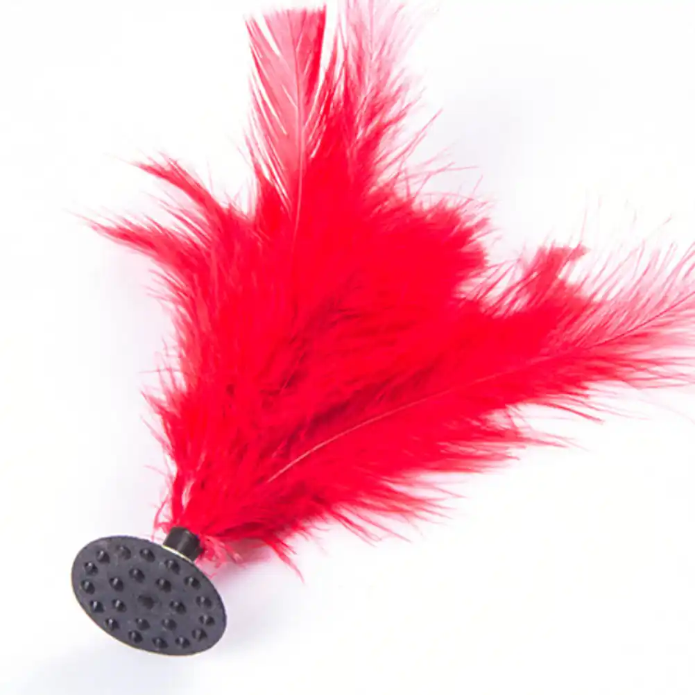 Sport Kick Shuttlecock Chinese Traditional Sports Jianzi Toy Play