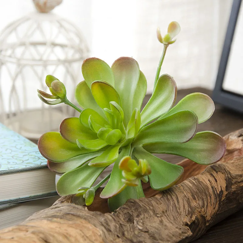7 Tall Lotus Flower Artificial Succulent 4 Round Plastic Plants 7 Tall Lotus Flower Artificial Succulent 4 Round Plastic Plants Home Decor Green Red Fake Landscape Unpotted In Dried Flowers