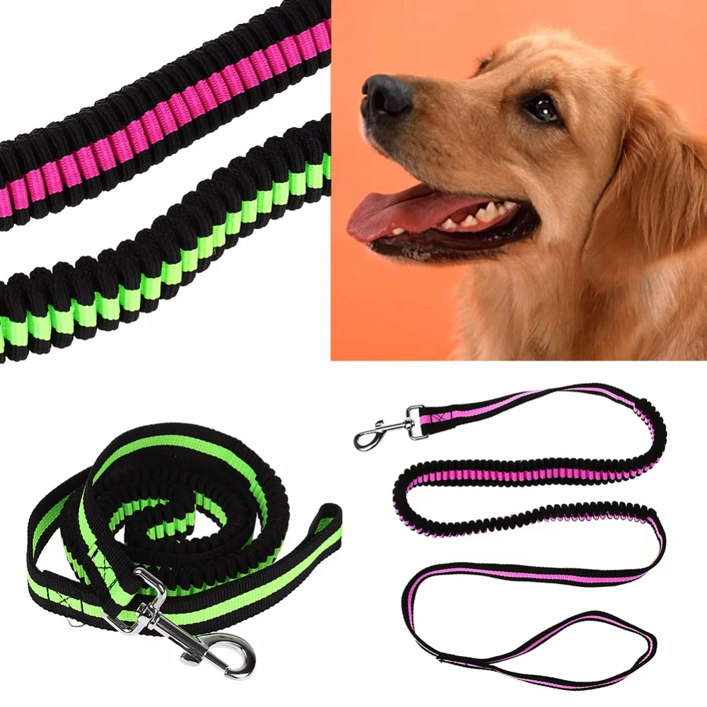 Dog Pet Leash Retractable Leash Elastic Stretch Dog Training with
