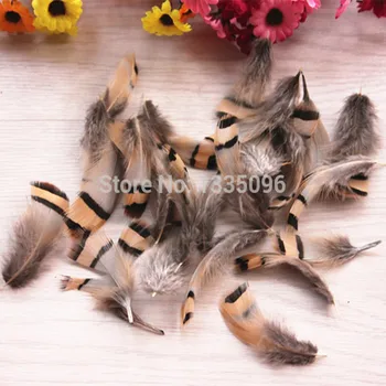 

Chukar feathers,20pcs/lot- NATURAL CHUKAR PARTRIDGE Hen Feather 4-8CM length freeshipping