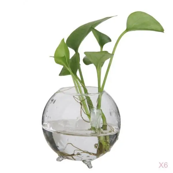 6pcs Home Decorative Ball Shape Clear Glass Display Vases Fish Bowl Air Plants Hydroponic Pot Terrarium DIY Micro Landscape Tool