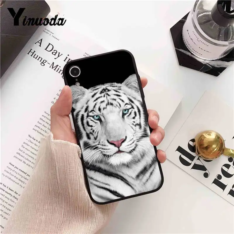 Cool Tiger Owl Cat Cartoon