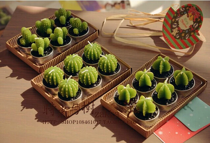 mini jardim de cactus:Miniatura de cactos vender por atacado – Miniatura de cactos comprar mini jardim de cactus:Miniatura de cactos vender por atacado – Miniatura de cactos comprar