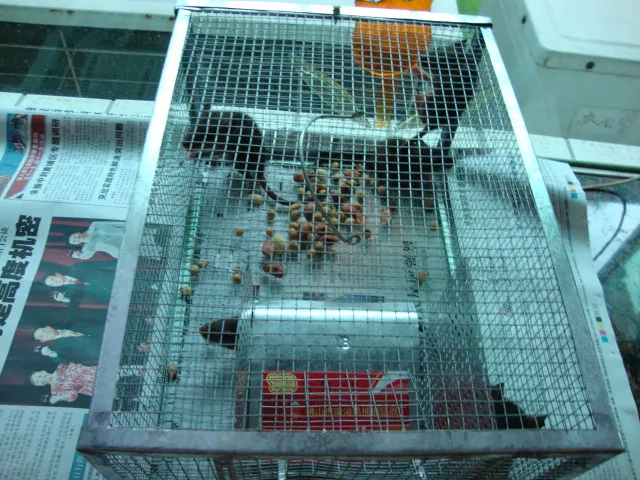 

1 PCS mousetrap continuous mouse killer rat-trap mouse cage trap mousetraps Mouse cage recycled very durableHH16102
