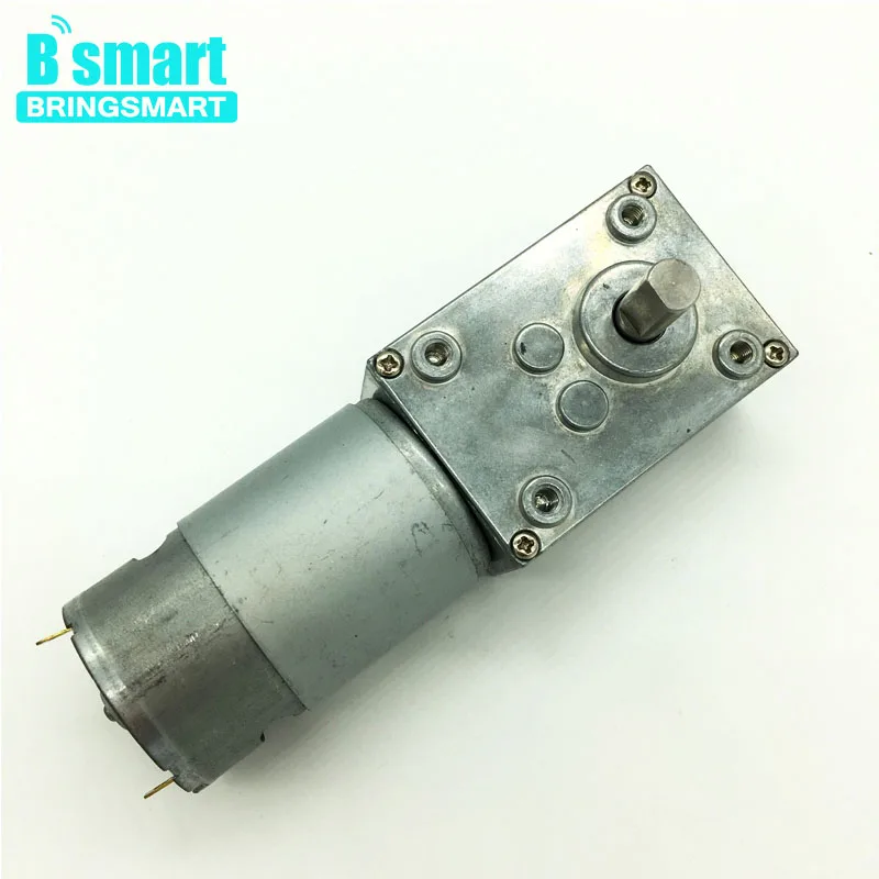

Bringsmart Worm Gear Motor DC 12V Mini Motor 24V High Torque Reversible Self-locking For DIY Curtain Machine Intelligent Device