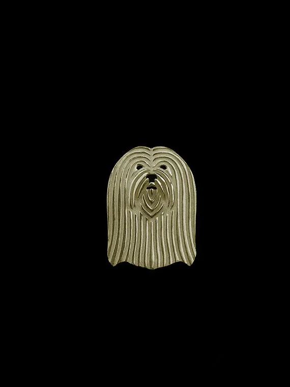 Lhasa Apso1