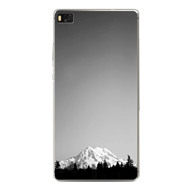B216
