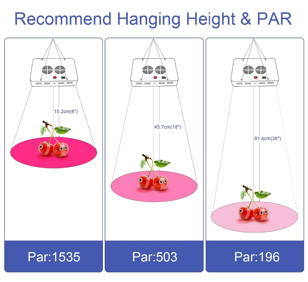 5.PAR