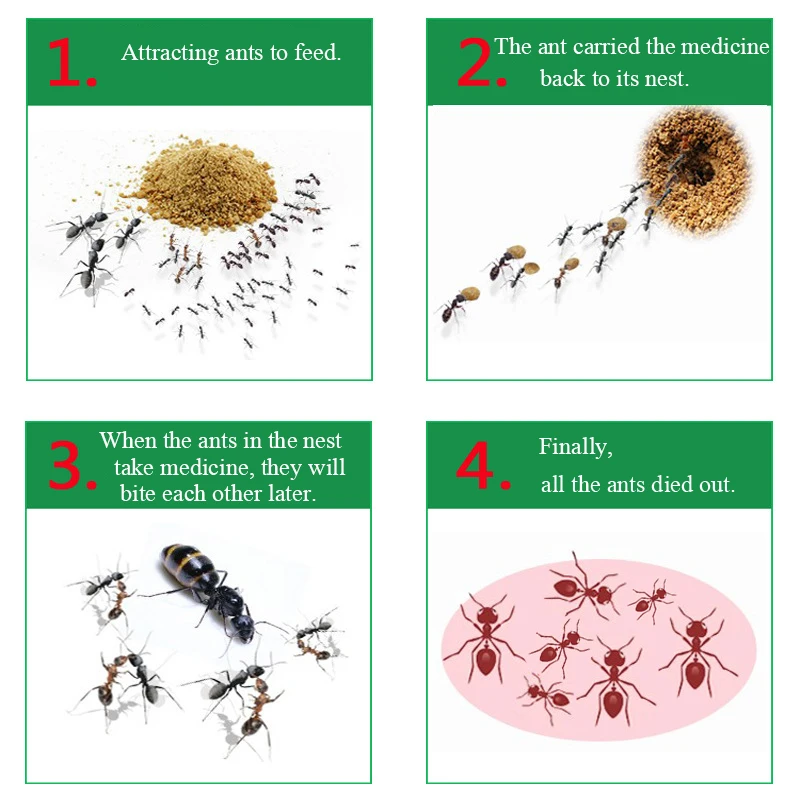 Новинка 50/упаковка мощная и универсальная муравьиная медицина бытовой муравьиный порошок целое гнездо конец муравьиная приманка инсектицид
