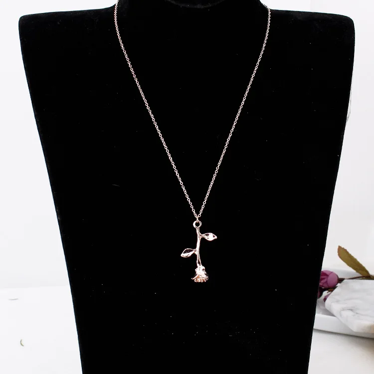 XL0009A (9)