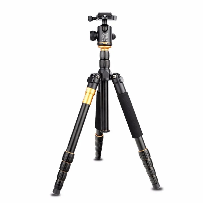 QZSD-Q666-6