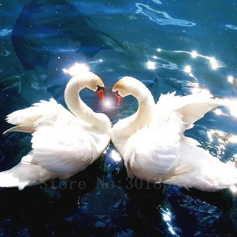 

Diy Diamond Painting Cross Stitch Two Heart-shaped White Swans Diamond Mosaic Full Diamond Embroidery Rhinestone Gift Decoration