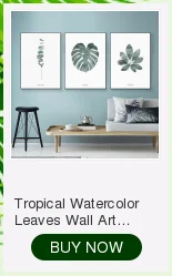 Современная фотография кактус суккулент плакат холст живопись Зеленый завод стены Искусство Картина гостиная домашний декор