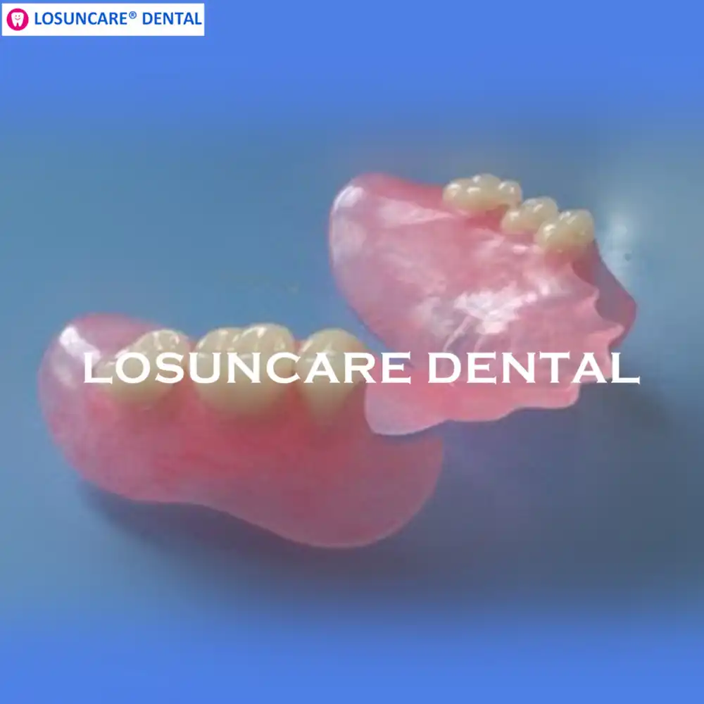 Denture Base Resins Thermoplastic - 58288 Denture Base Resin, Thermoplastic.