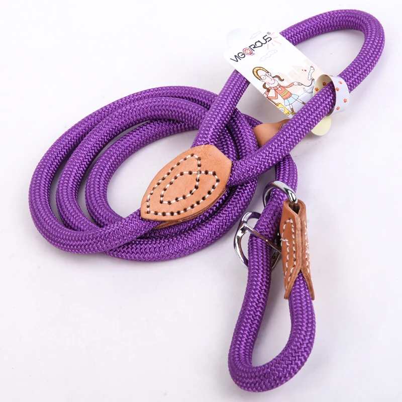 dog leash purple