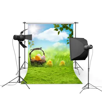 

2017 new spring easter photography backdrops eggs chiken new born baby children photographic background Easter Day P0343