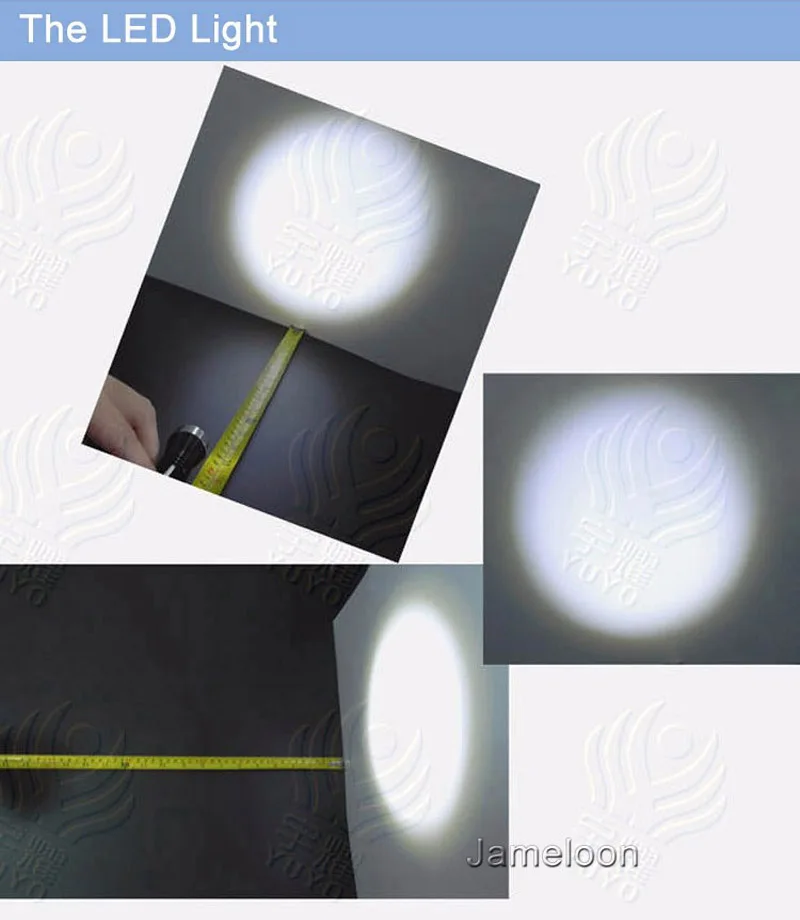 6 (5)