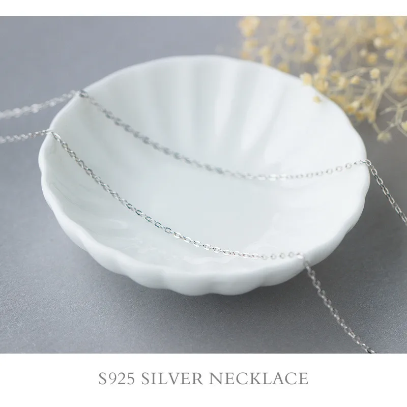 3056994825_334617663