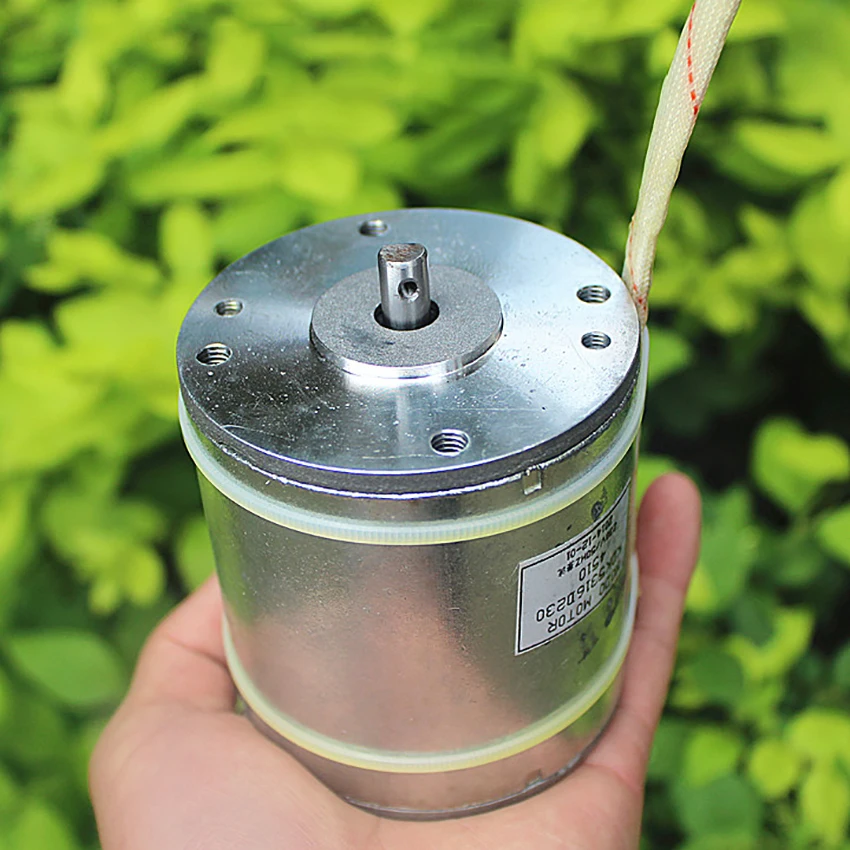 

AC220V Rectifier DC230V High Voltage High Speed DC Motor 3100rpm Positive Reversal Micro Electric Machinery Axis Diameter 8mm