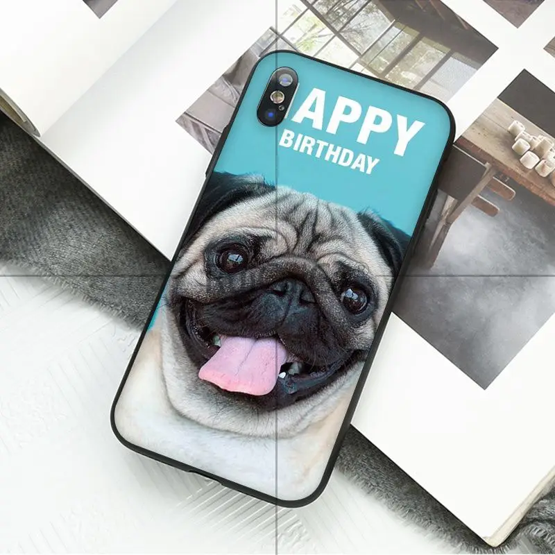 Animal cute pug