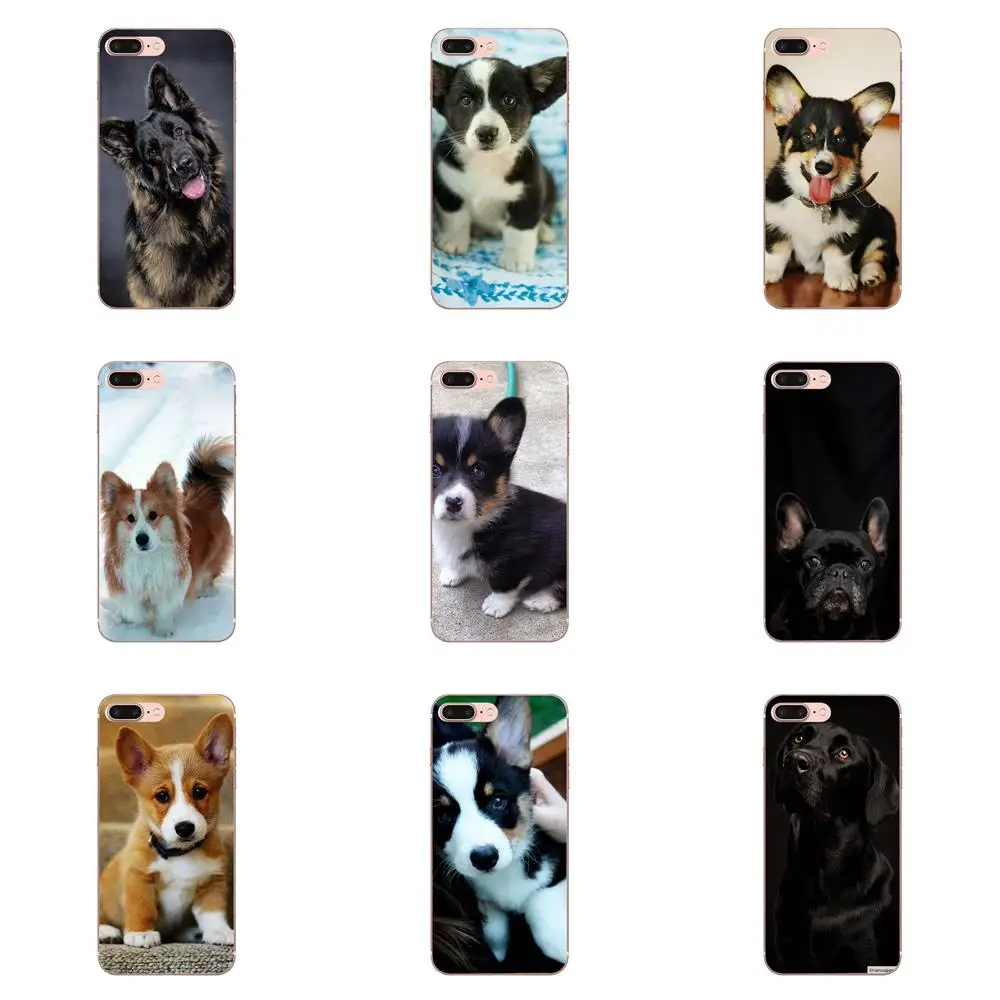 Corgi Latar Belakang Hitam Anjing Lembut Baru Fashion Untuk Xiao