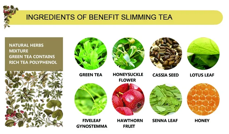 Healthy Herb Medicine Slim Tea for Loss Weight Reducing Waist Slim Body Benefit No Laxative Free Shipping