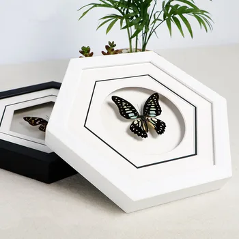 

Butterfly decorative painting True butterfly specimen Insect specimen Stereo 3D photo frame Living room hexagon crafts gifts