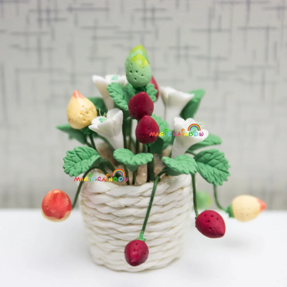 m_OP008 potted strawberry (3)