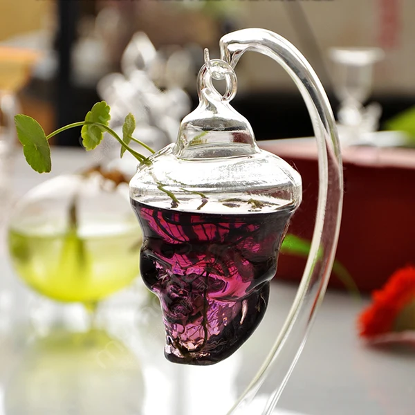  Clear Glass Terrarium Flower Vase Vase Plant Skull Shape Glass Flower Hanging Decor for Relaxing Gi