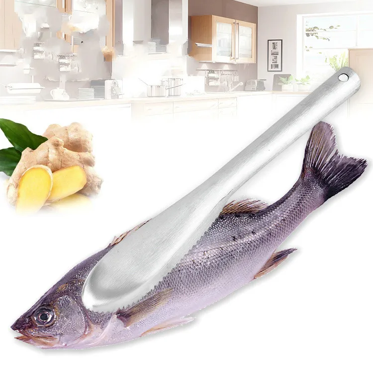 Fish Cleaning Tools Scraping Scales Fishing Barbecue Buffet Tool Brush