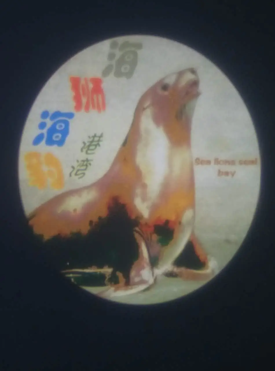 picture-ed19ae32fac1fc0b8058eec555130807